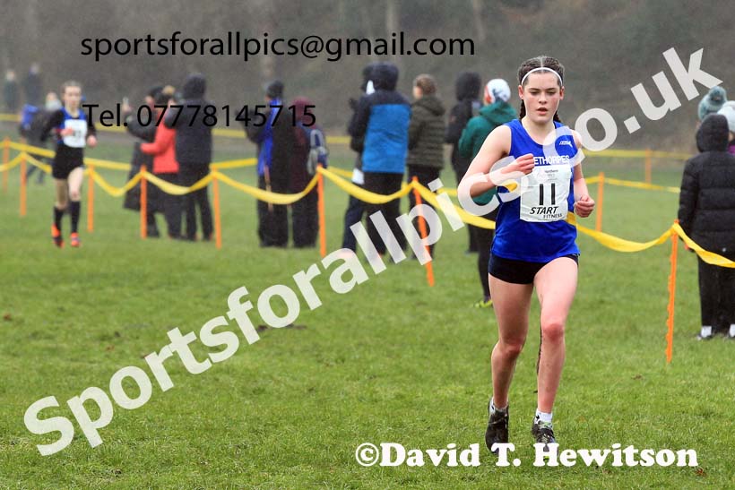 Junior Womens 2023 Northern Cross Country Champs., Witton Park, Blackburn. Photo: David T. Hewitson/Sports for All Pics